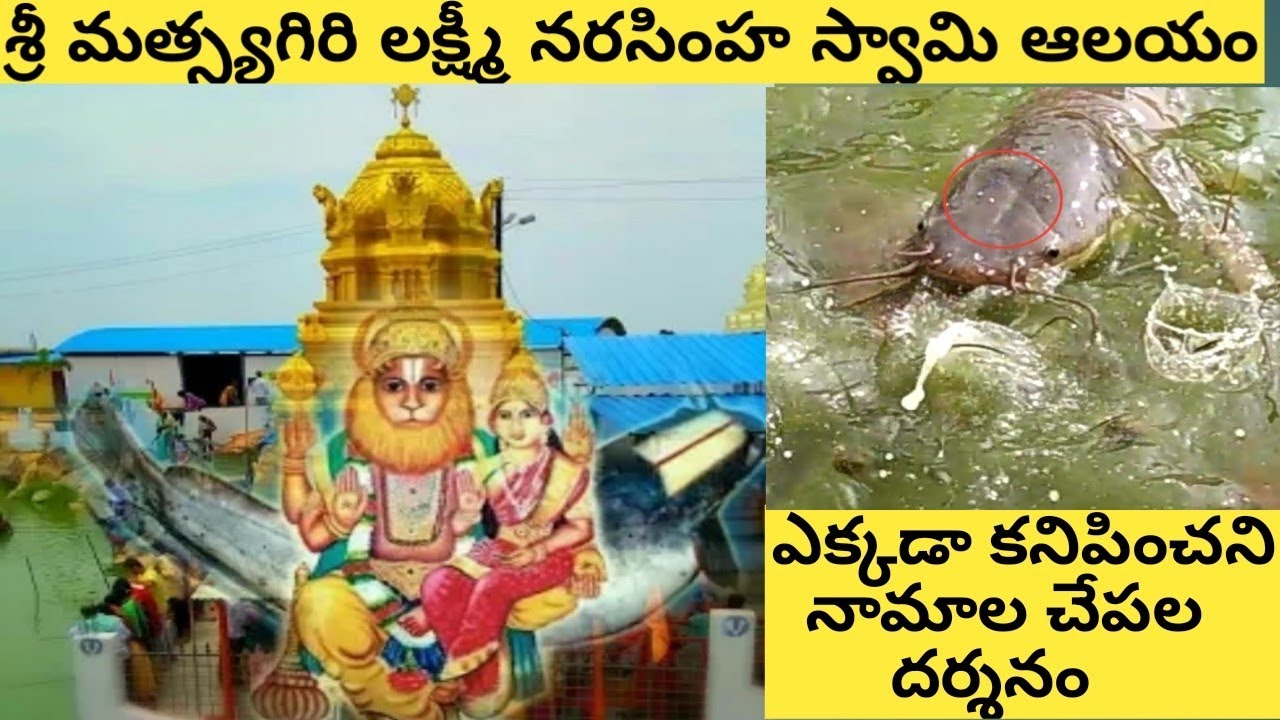 Matsyagiri Lakshmi Narasimha Swamy temple - Telangana