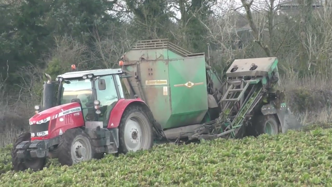Beet 2023 M&J Agri
