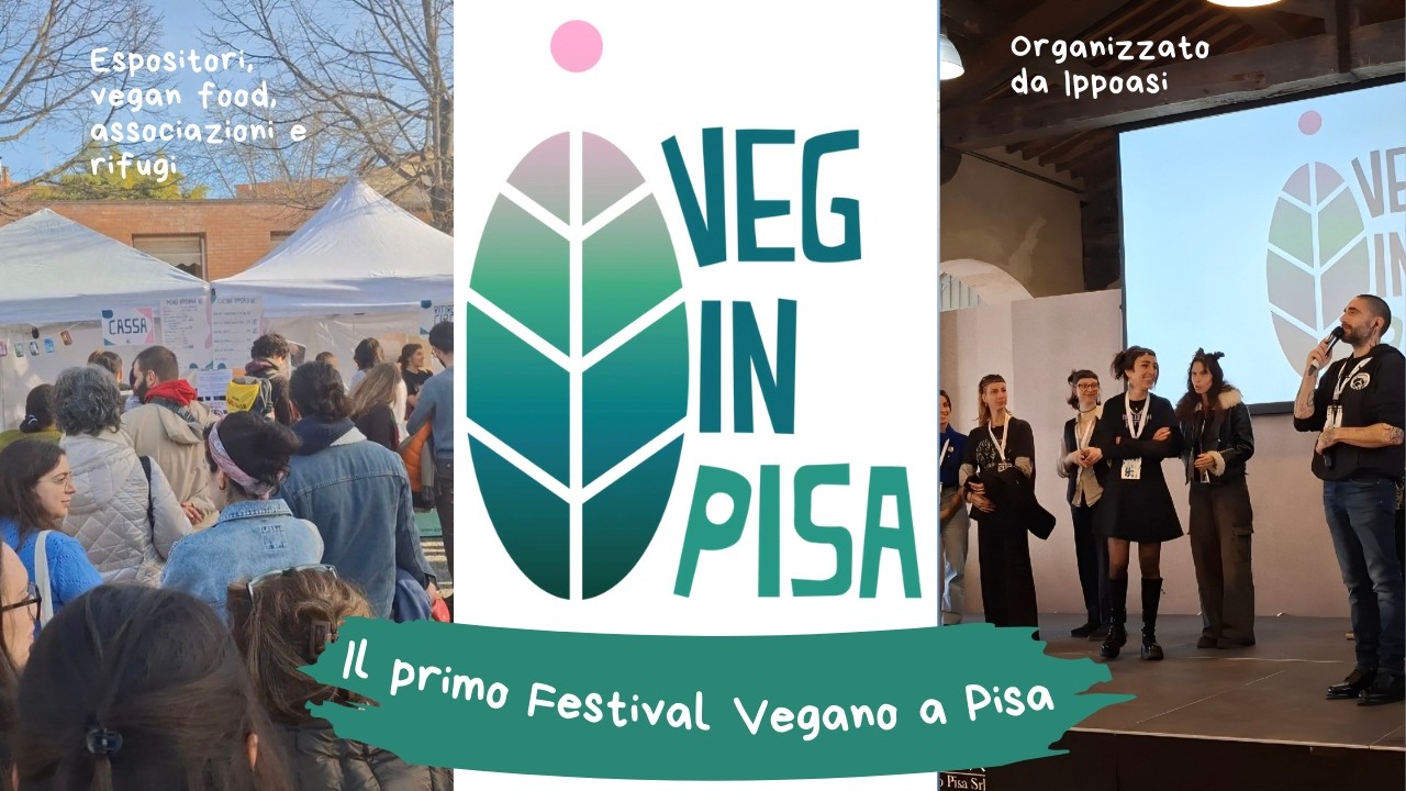 Veg in Pisa | Il primo Festival Vegano a Pisa