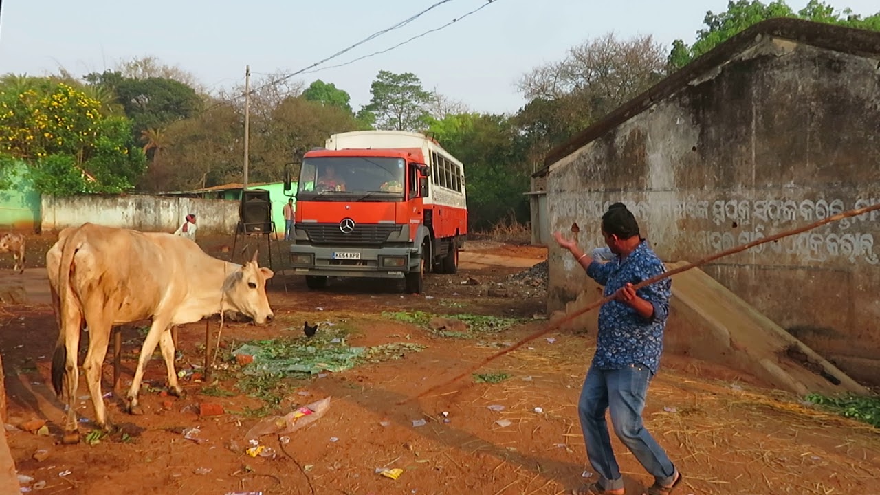Village Festival 10, Odisha, India