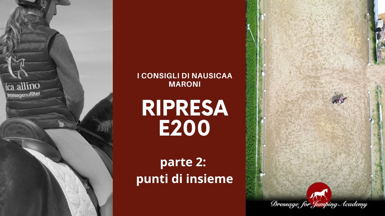 Ripresa E200 parte 2, i punti di insieme #dressageforjumping #equitazione #cavalli