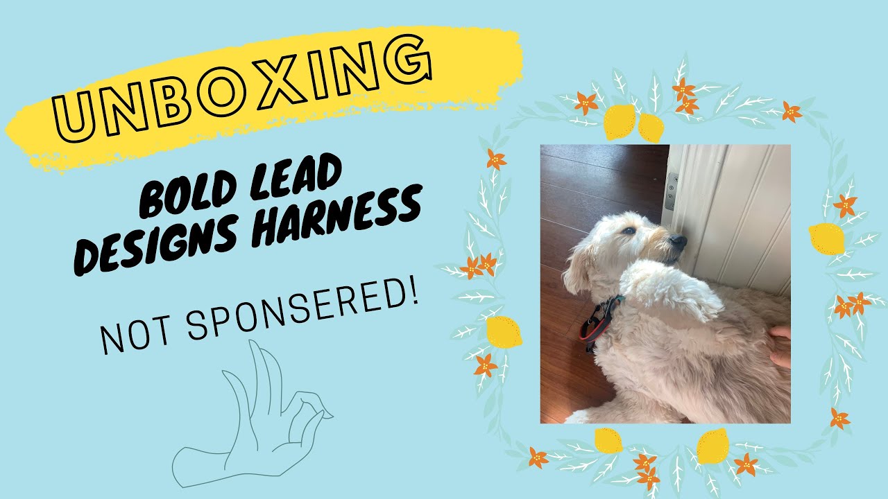 UNBOXING: Bold Lead Designs