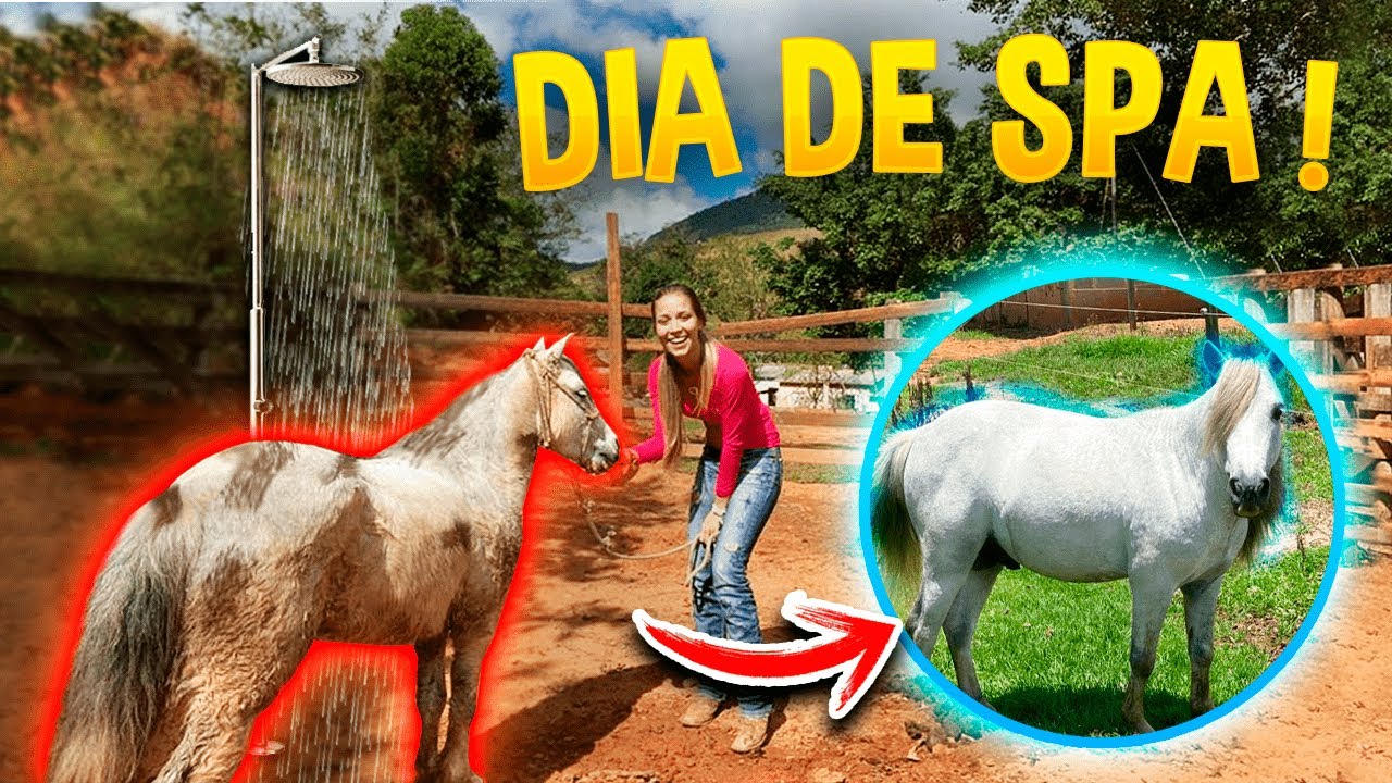 SPA DAY: DIA DE CUIDAR DOS MEU CAVALOS