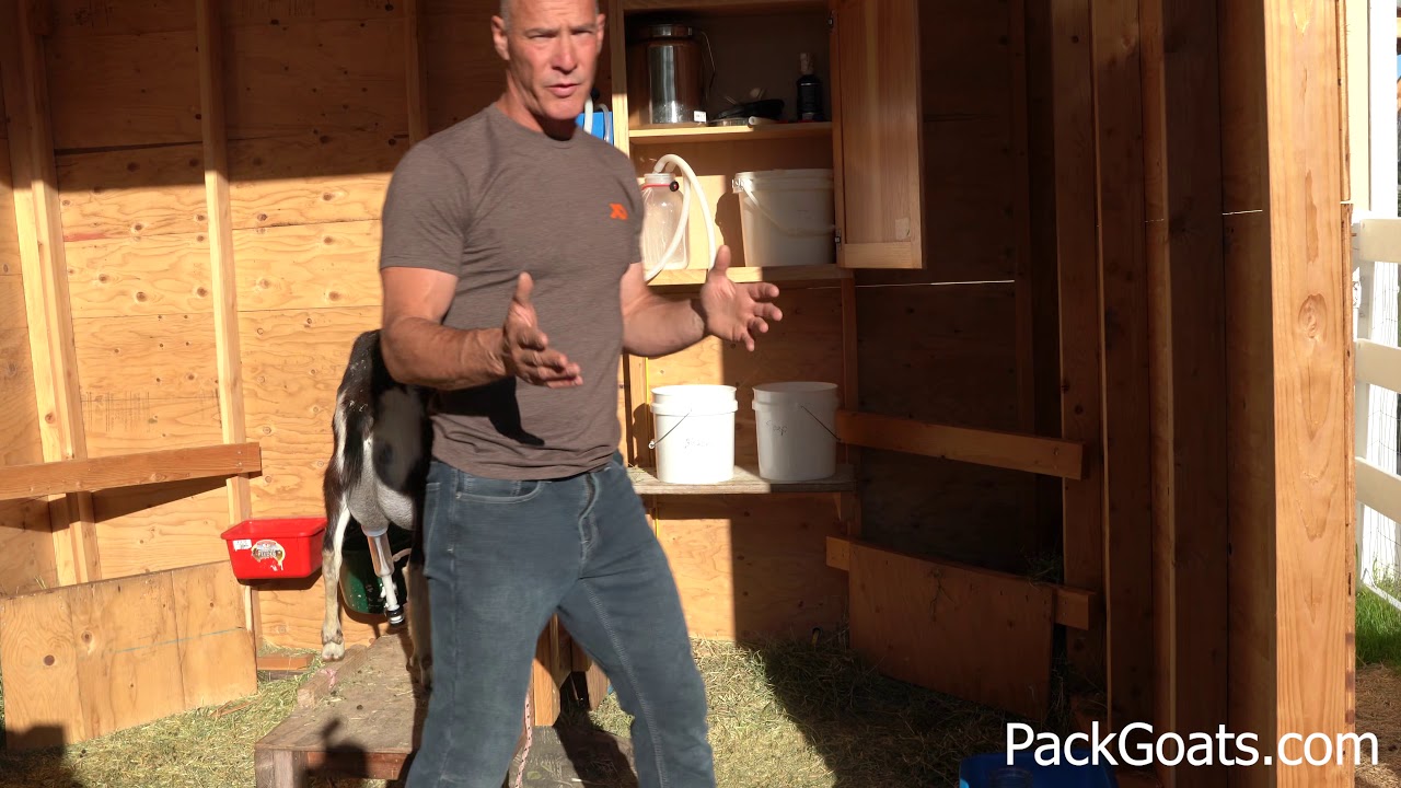 My Experience using the Simple Pulse Milking Machine for My Goats
