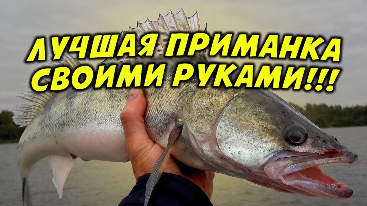 ЛУЧШАЯ ПРИМАНКА НА СУДАКА СВОИМИ РУКАМИ | МАНДУЛА СВОИМИ РУКАМИ