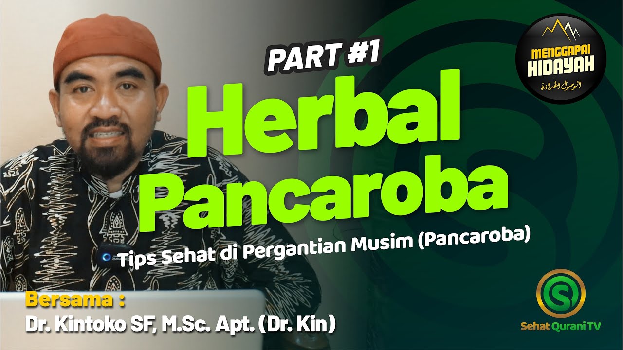 🟡 WAJIB TAHU! HERBAL PANCAROBA 