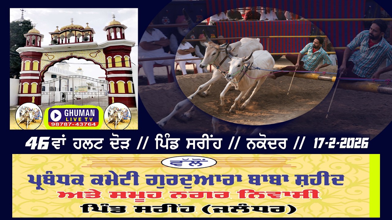 HALT RACE // ਹਲਟ ਦੌੜ // ਪਿੰਡ ਸਰੀਂਹ // ਨਕੋਦਰ // 17-2-2026