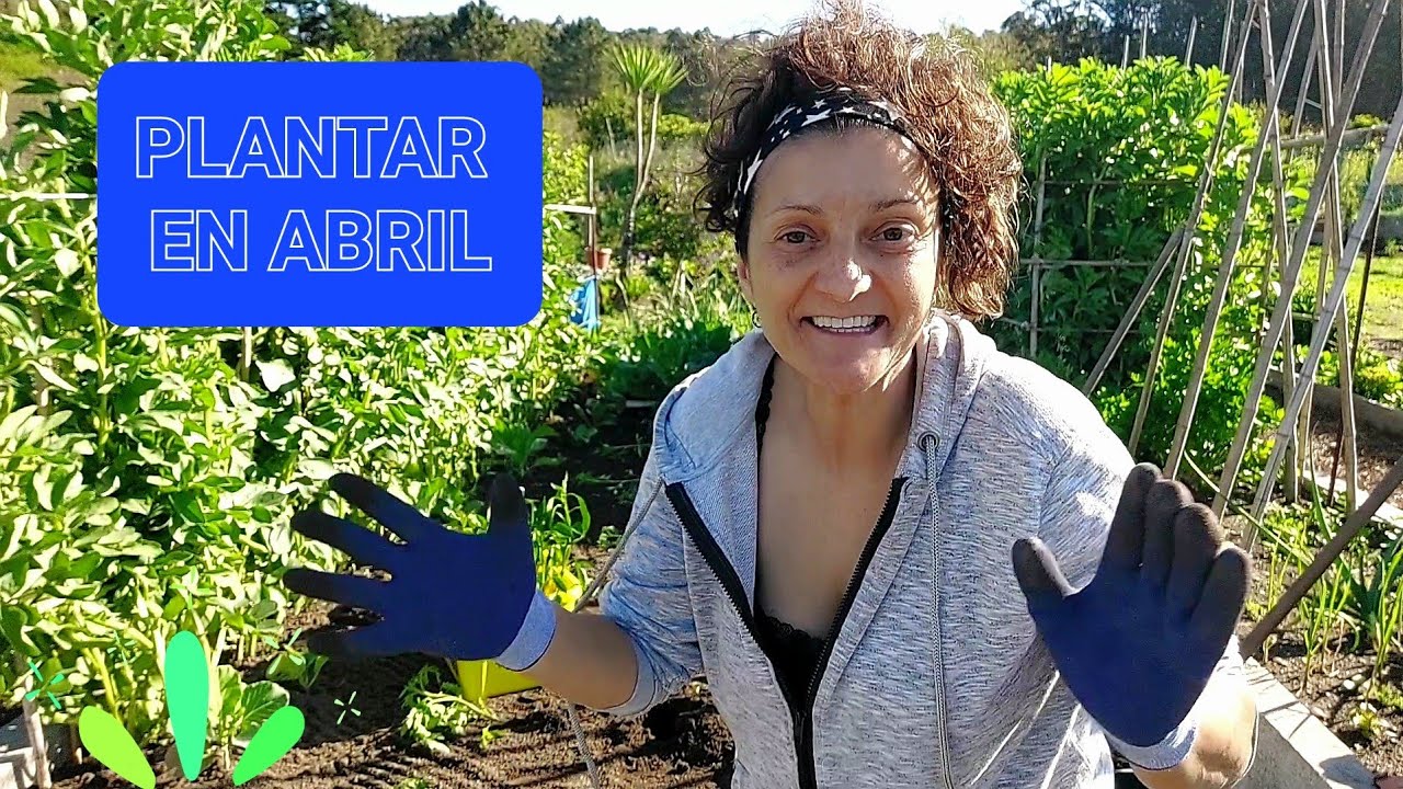 PLANTAR EN ABRIL 🌱 Como preparar a terra || {NUSKA}