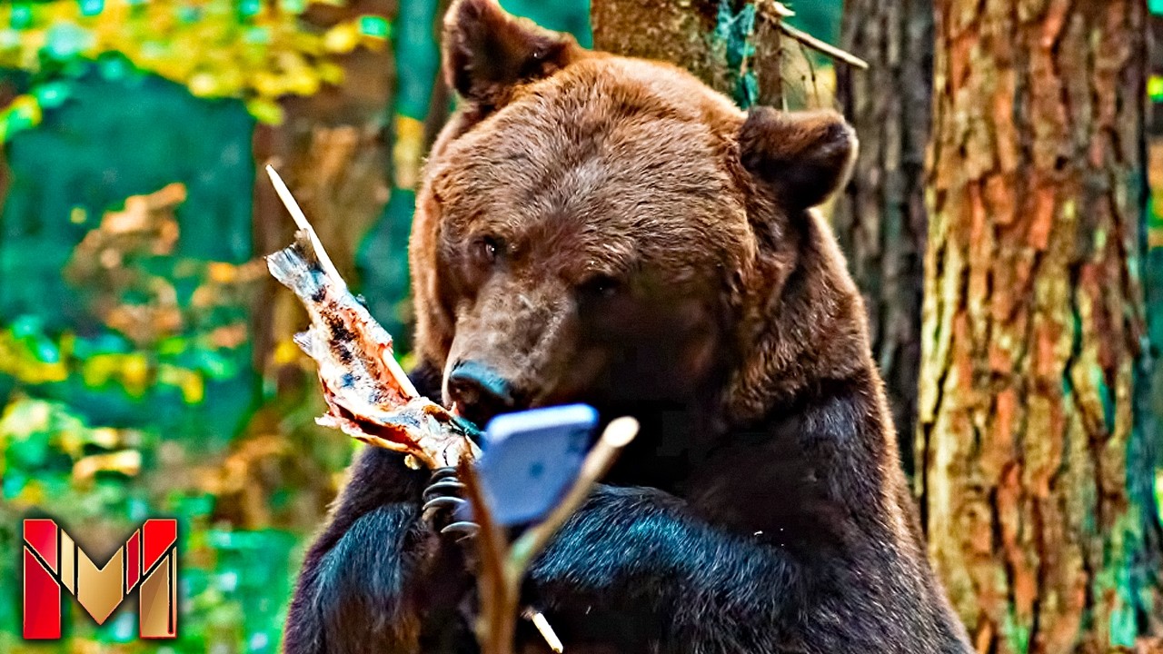 PAPA BEAR Trailer (2026) Adventure Movie HD