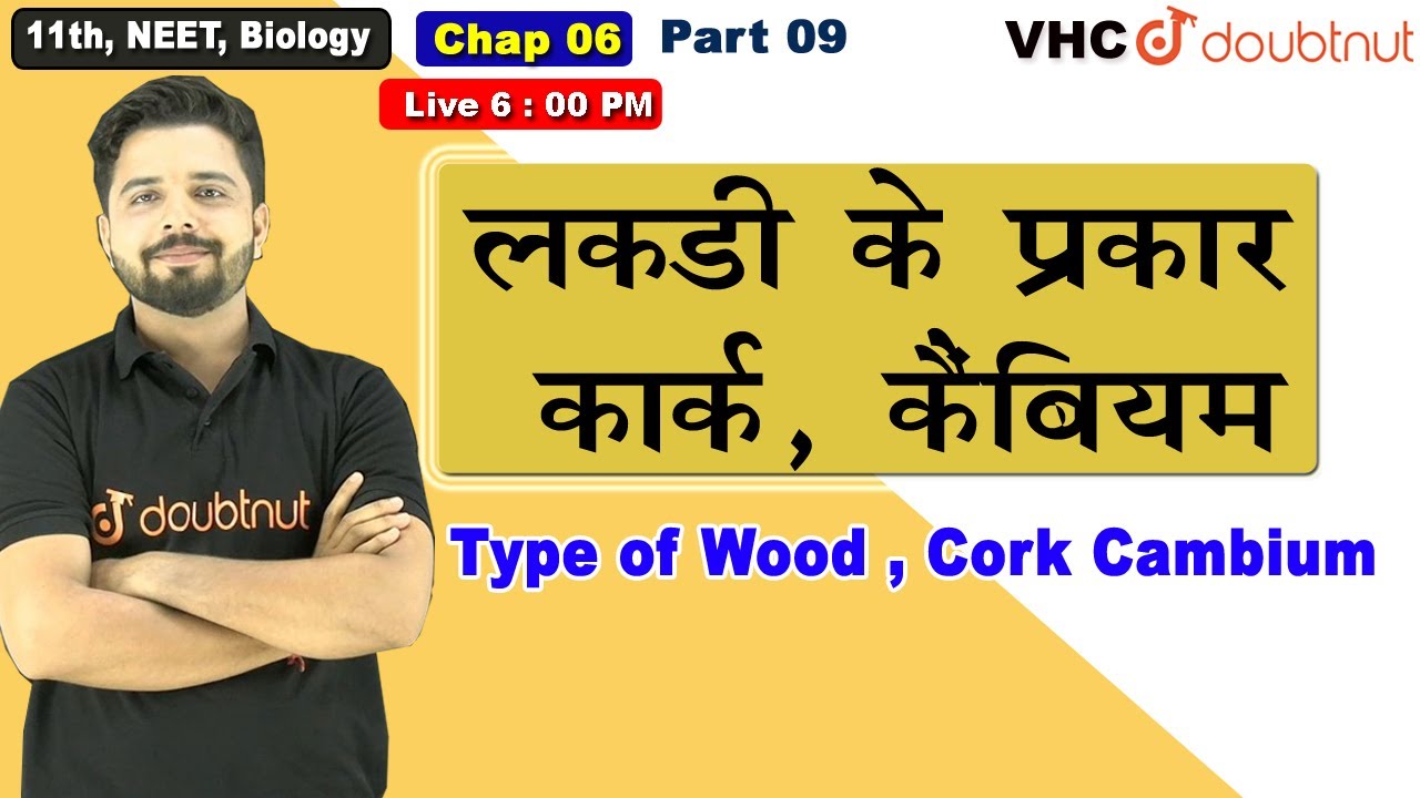 Part 09 लकड़ी के प्रकार  कार्क, कैंबियम , 11th, NEET, Biology