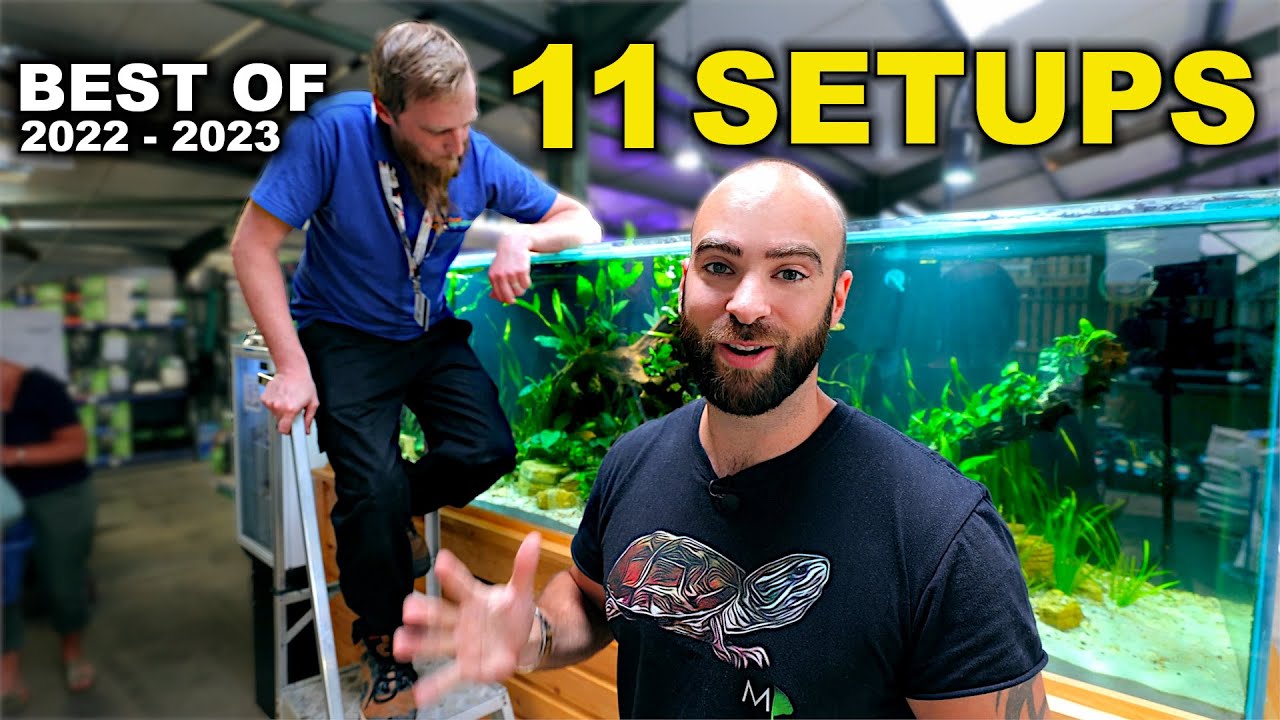 MD Fish Tanks: Best Aquariums 2022 - 2023