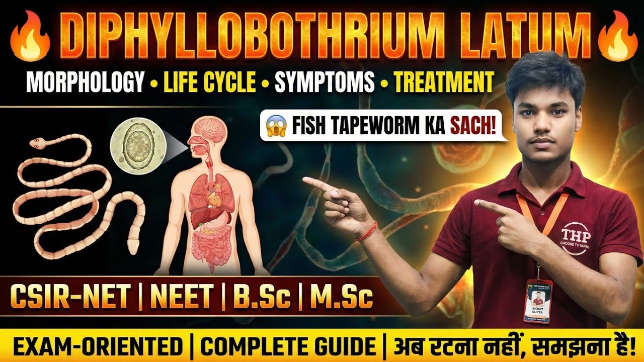 Diphyllobothrium latum | Morphology, Life Cycle, Symptoms & Treatment | Fish Tapeworm Explained