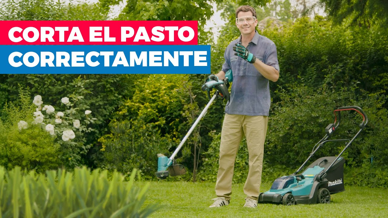 Cómo cortar el pasto correctamente