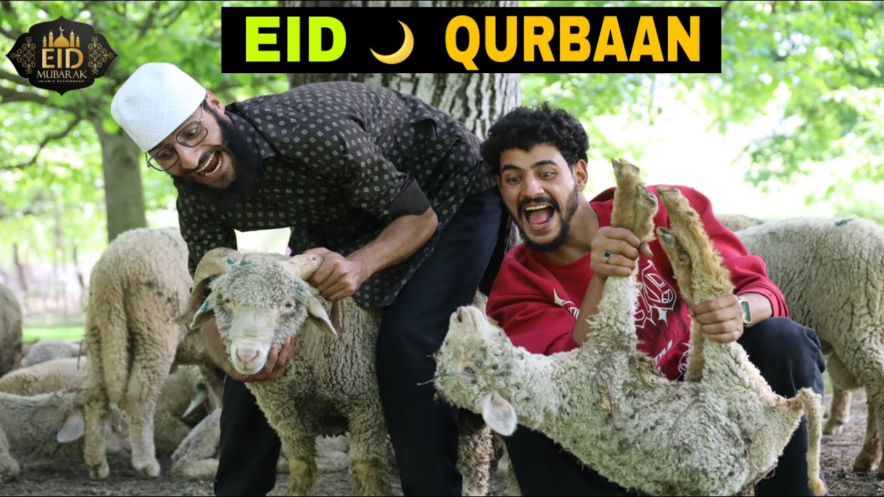 Eid Qurbaan Kashmiri Funny Drama