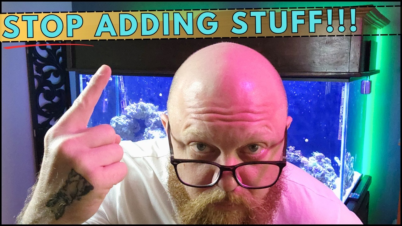 This could make or break your reef tank success as a beginner!