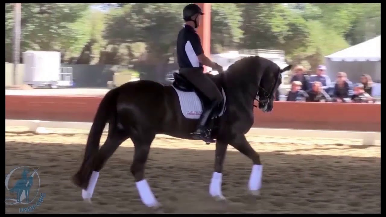 Improving the Canter Pirouettes