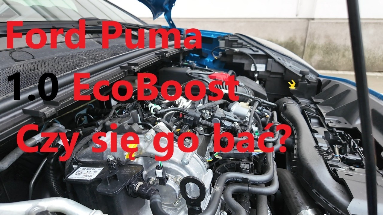 Ford Puma, czy bać się silnika 1 0 EcoBoost?