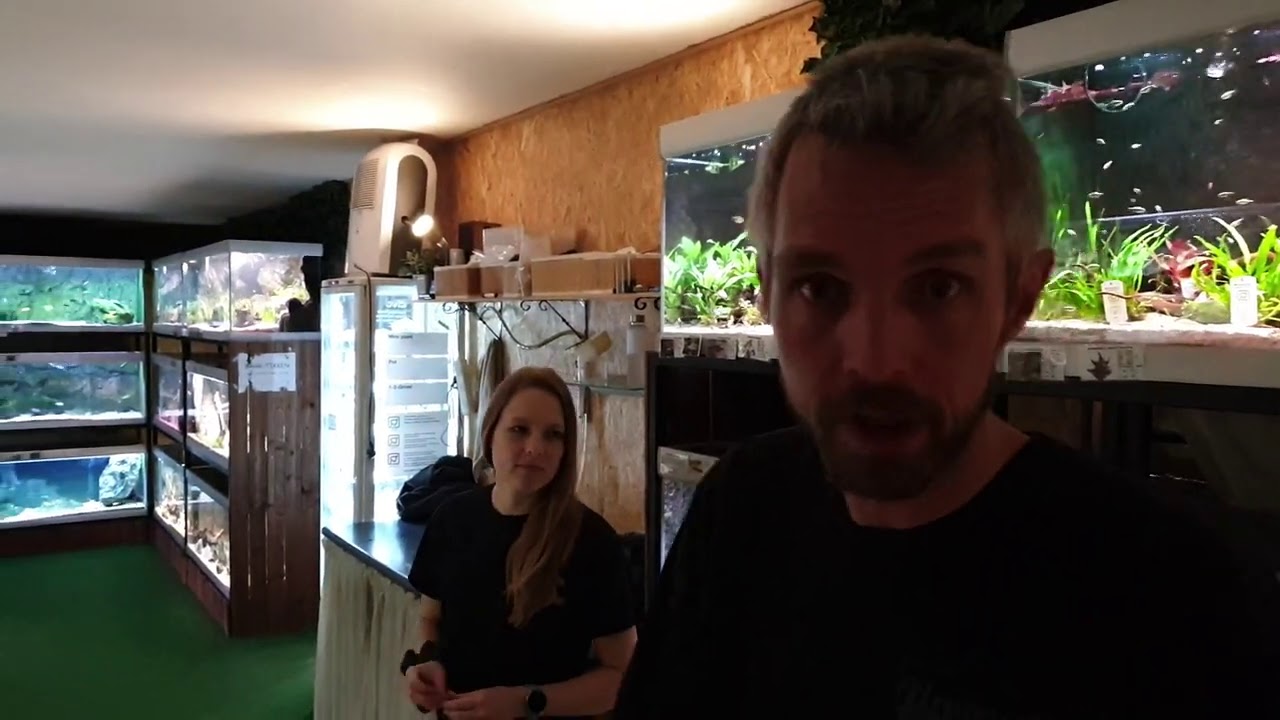 Fredagsfilm - Alger i akvarierne