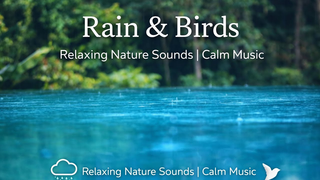 Soft Rain | Calm Piano Music