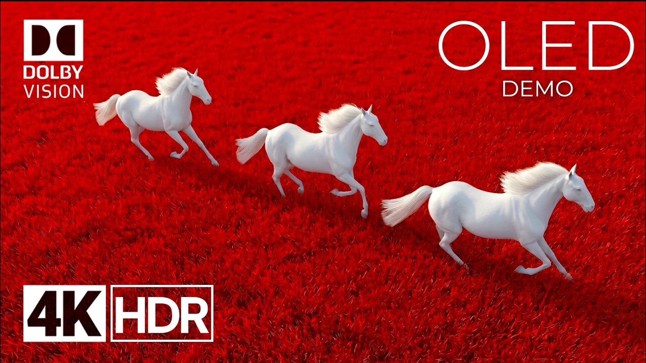 The Most Spectacular OLED Demo In 4k Dolby Vision - HDR Video 120fps