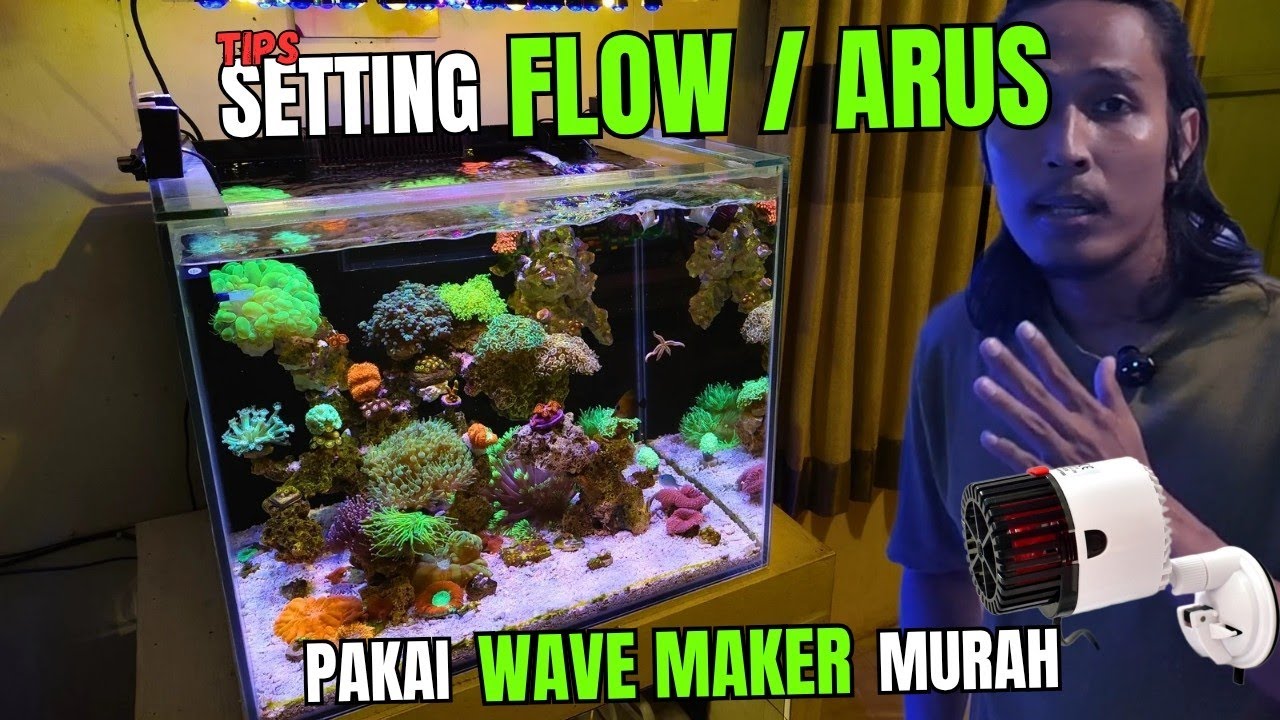 CARA SETTING ARUS/FLOW MENGGUNAKAN WAVE MAKER MURAH | Aquarium Laut | Nano Reef Tank