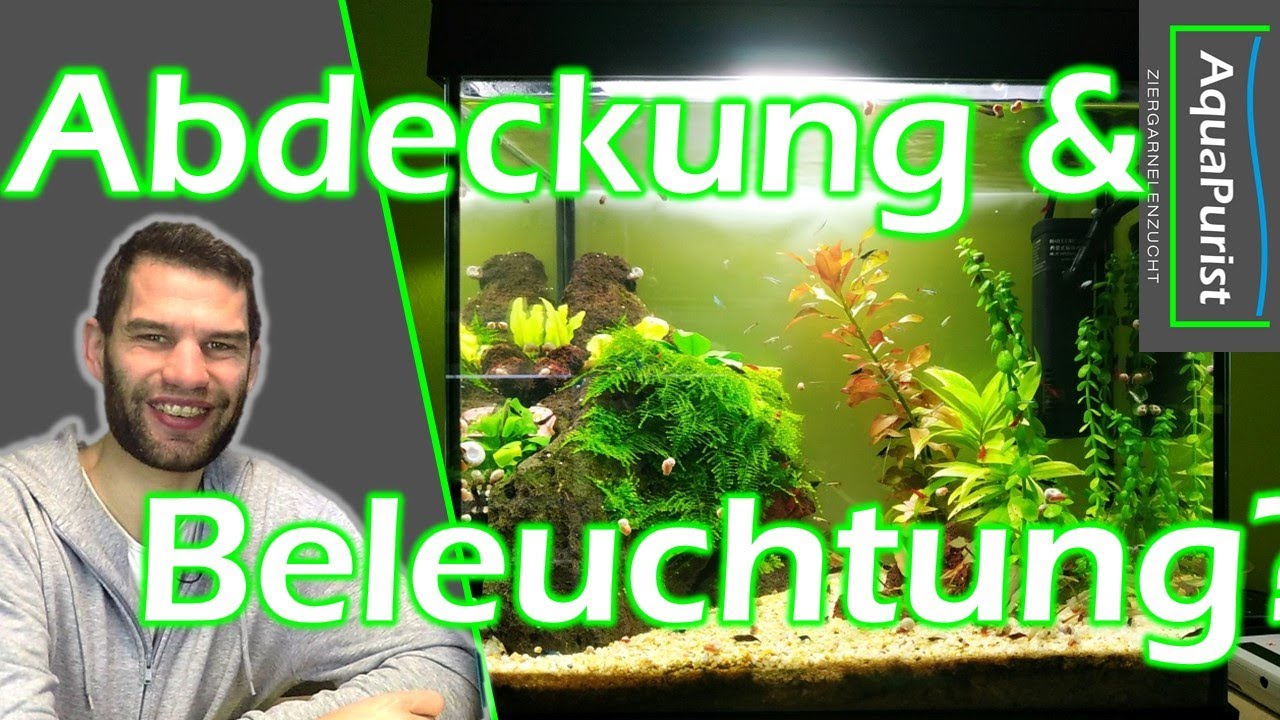 Einsteigerfragen: Welche Abdeckung und Beleuchtung kann ich nehmen?