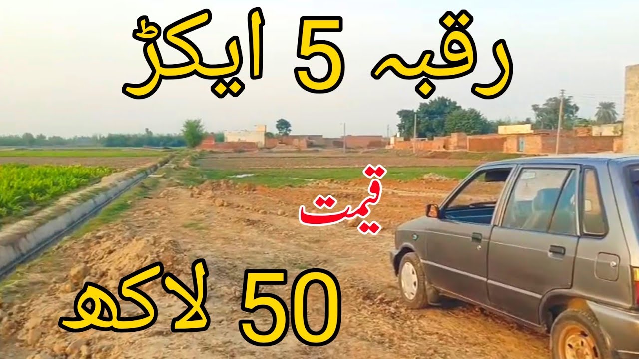 5 Acres Zameen for Sale | Agricultural Land Investment in Punjab Pakistan | Episode 75