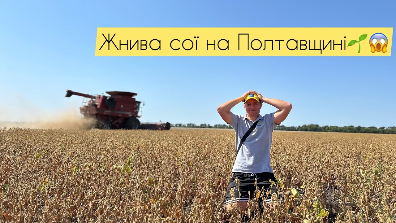 Врожаю немає 🤷‍♂️Соя знову поставила на коліна 🌱😱Жнива сої 17.08.25