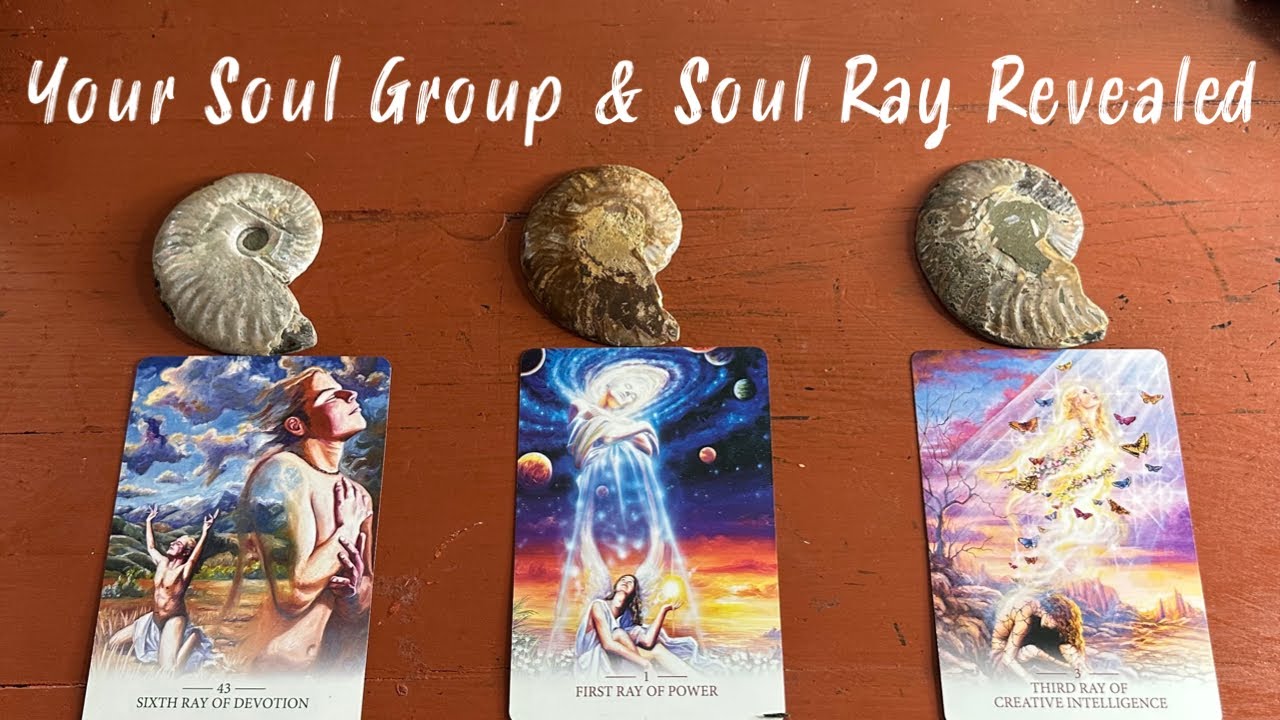 Pick a Card⭐️What Is Your Soul Purpose & Soul Design ⭐️🌱🧬Collab w/ @TarotandBeyond🌀 #timeless