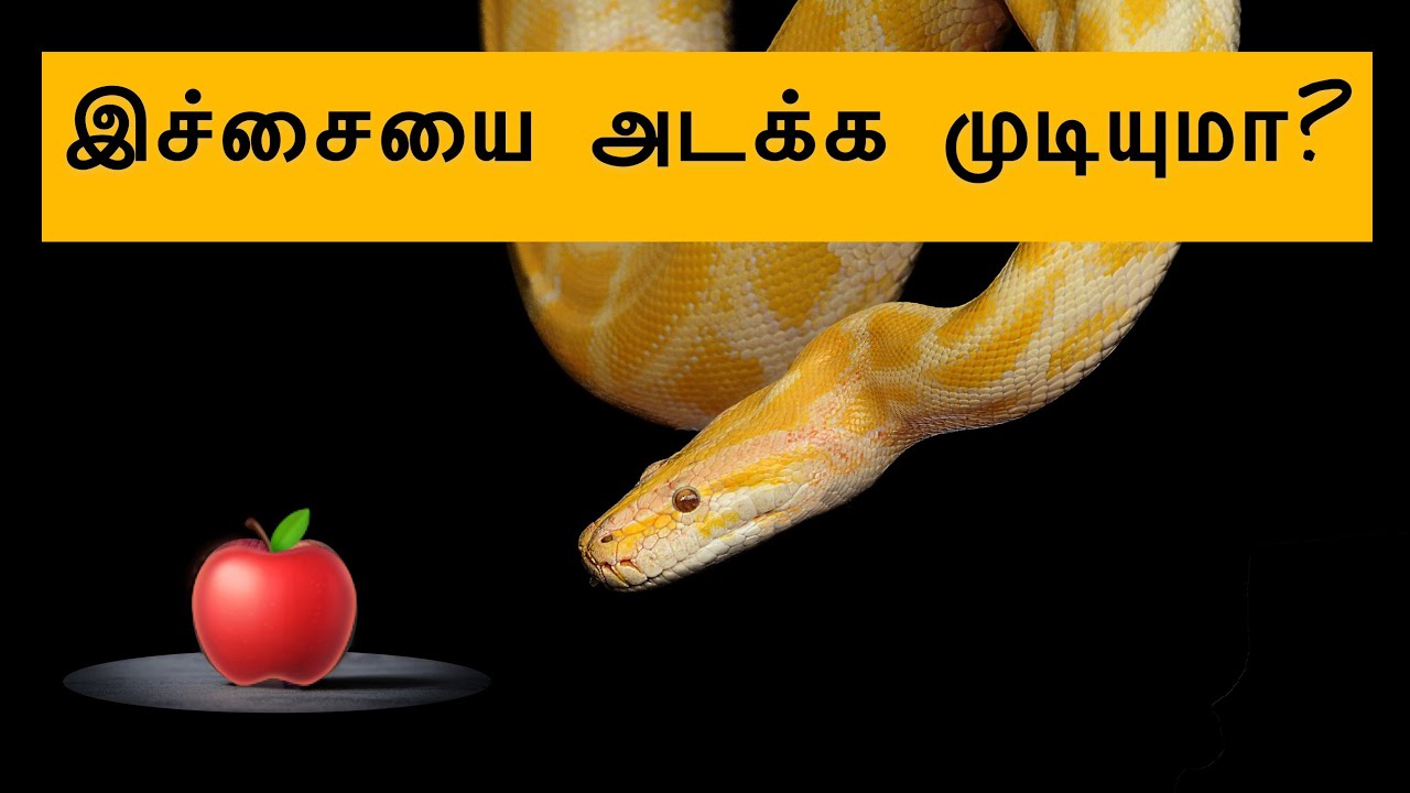 இச்சைகளை அடக்க முடியுமா?