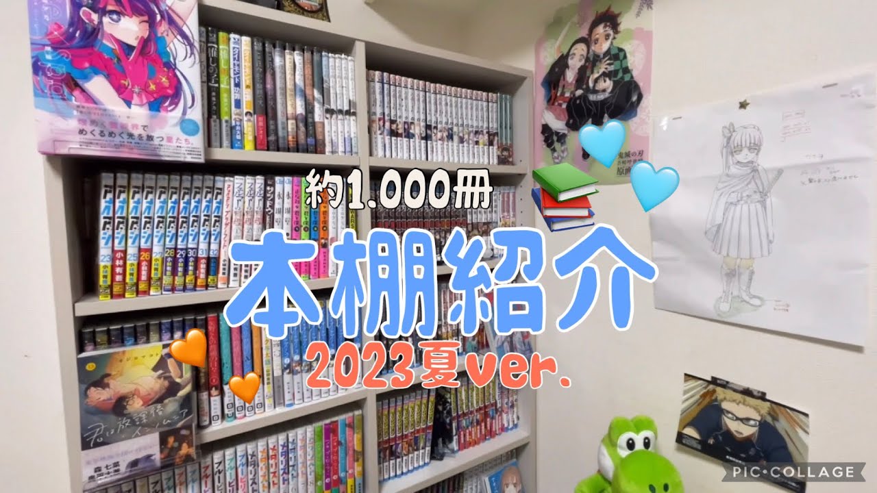 【本棚紹介】2023年夏ver.本棚紹介🌓📚