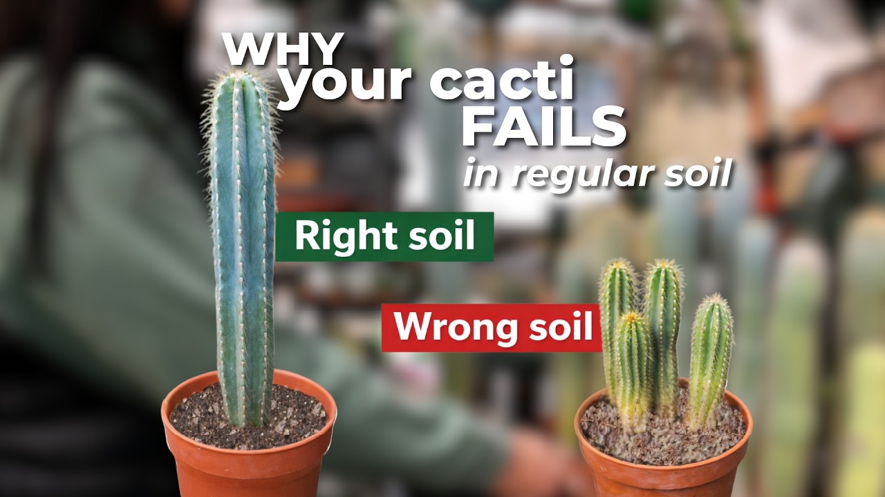 Their Soil Was TOO Dry… Here’s What We Changed