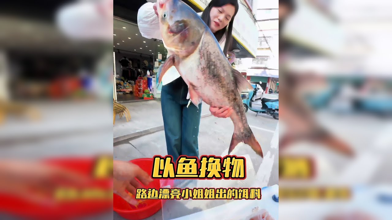 鱼换万物 感谢小姐姐的信任，真的太客气了