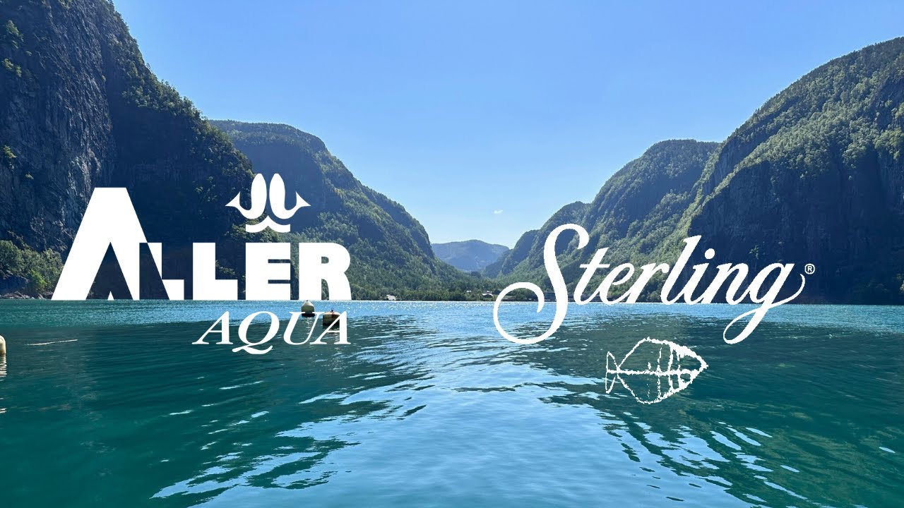 A testimonial story - Sterling White Halibut and Aller Aqua