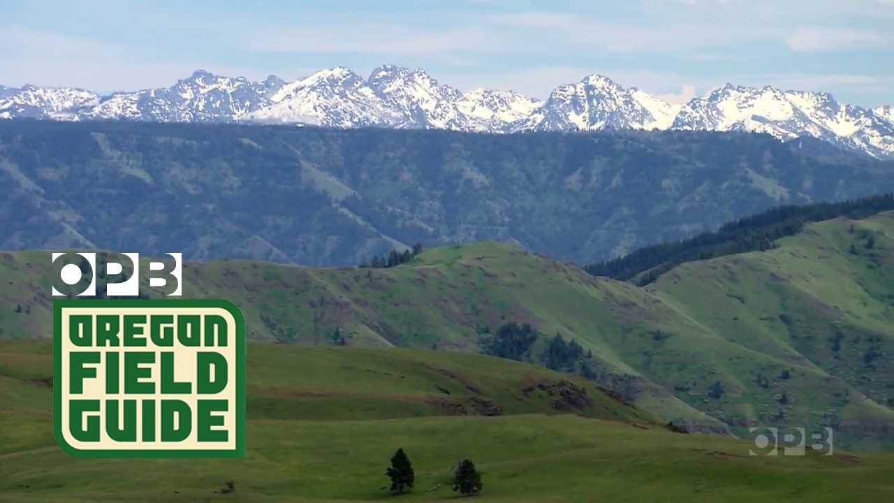 The Zumwalt Prairie in Oregon