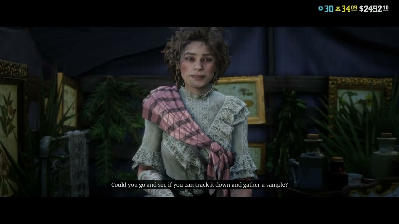 Late night RDR2