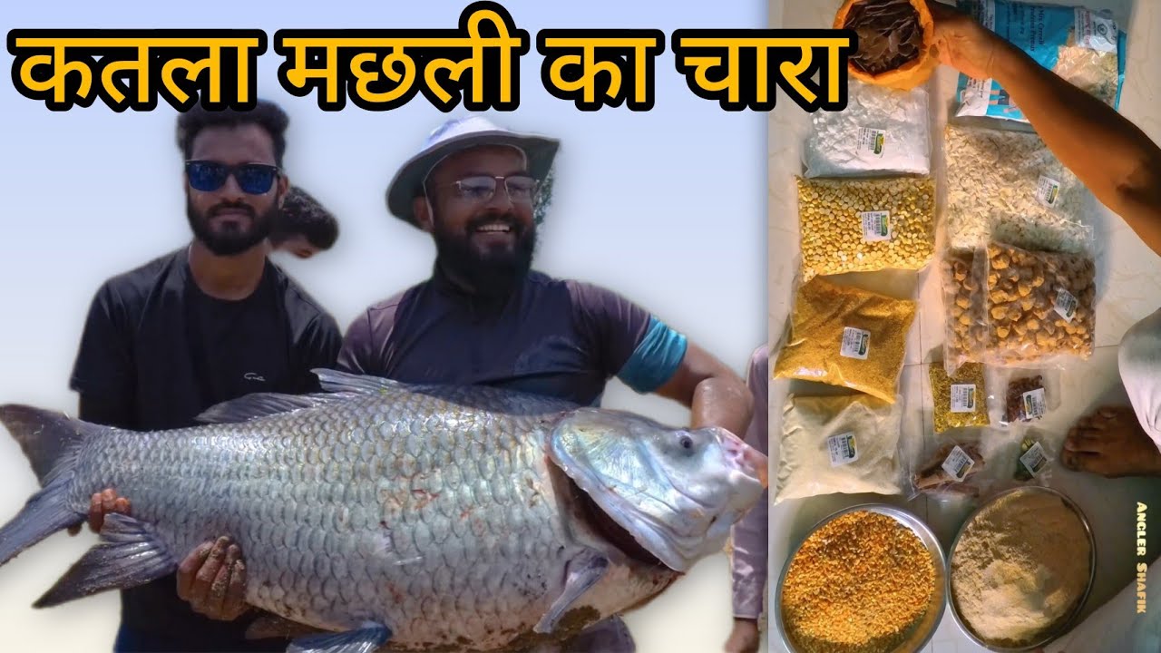 Home made katla fish bite in budget| घर पे बनायें क़तला मछली का चारा सस्ते मे|#fishing #fish#fishbite