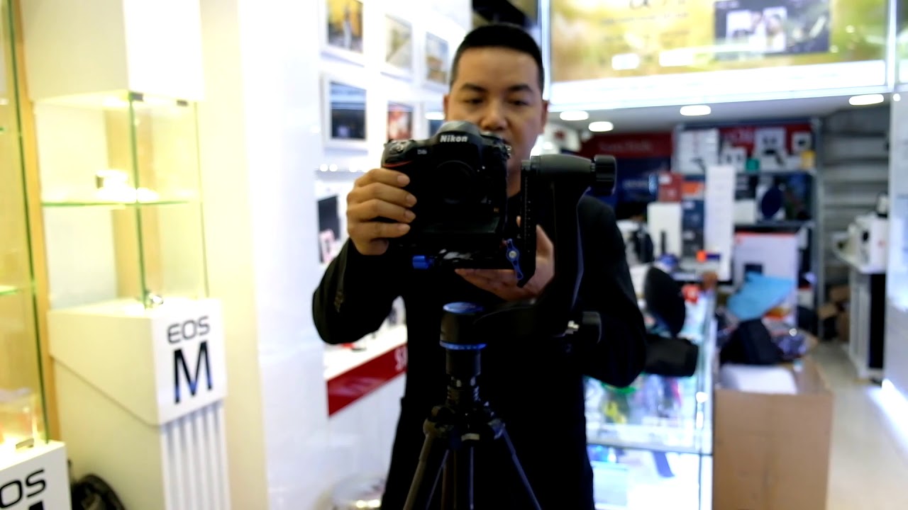 Benro Gimbal Head GH5C