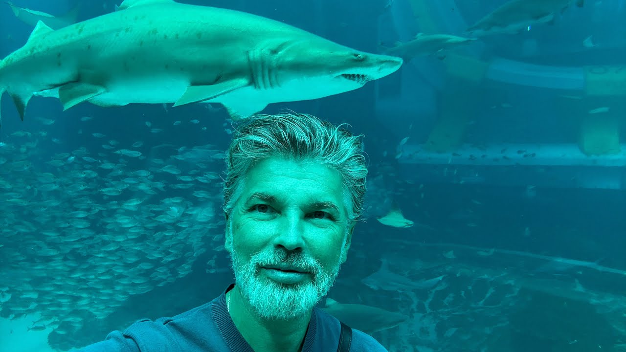 Впал в детство #seaworld #abudhabi 
