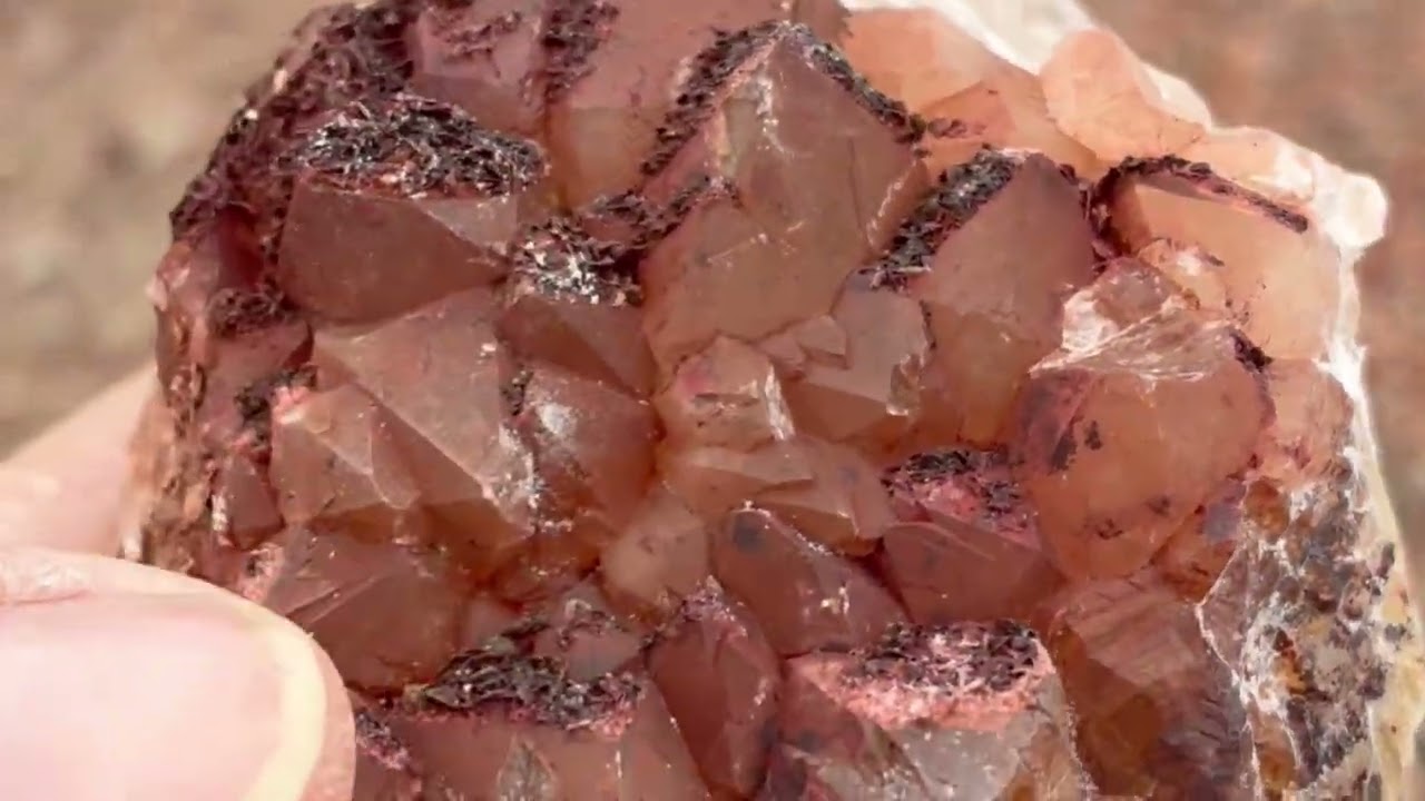 Check it out went with my rock club to the club claim near hatch New Mexico. Found lots cool stuff 