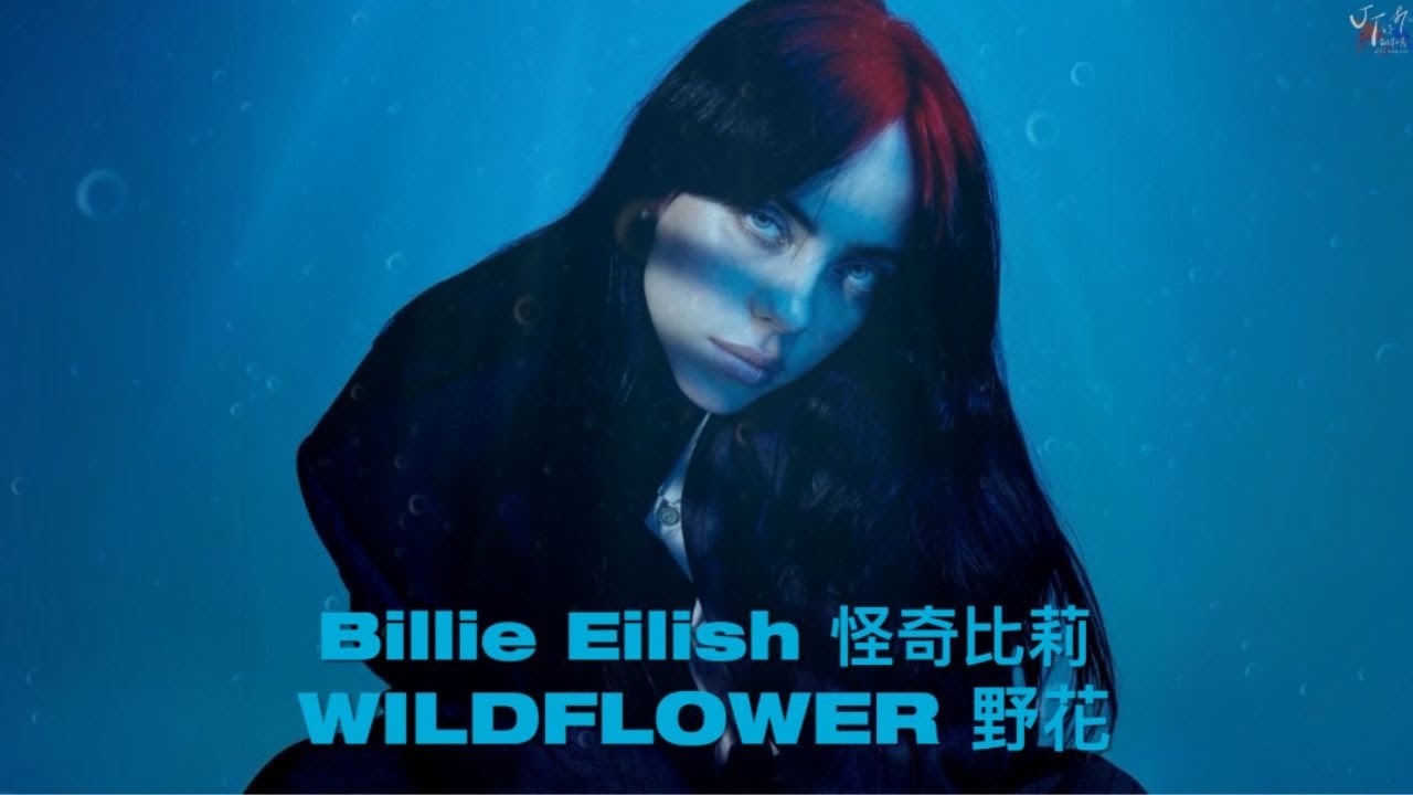 Billie Eilish 怪奇比莉 /. WILDFLOWER 野花【中文字幕/歌詞翻譯 Chinese Lyrics】