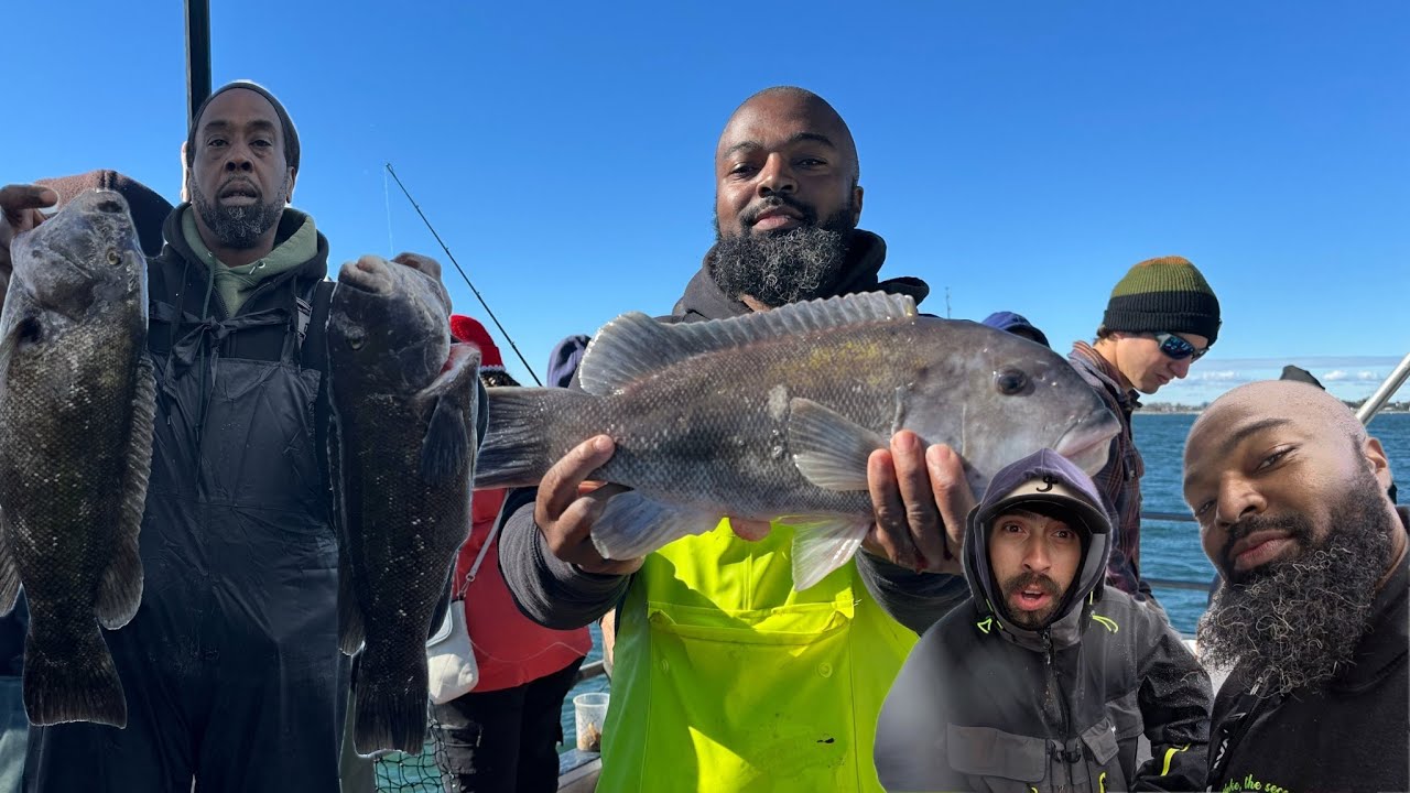 СУМАСШЕДШЕЕ! Мощный экшн на чёрном окуне (таутог) на канале James Joseph Fishing. Встретился с ле...