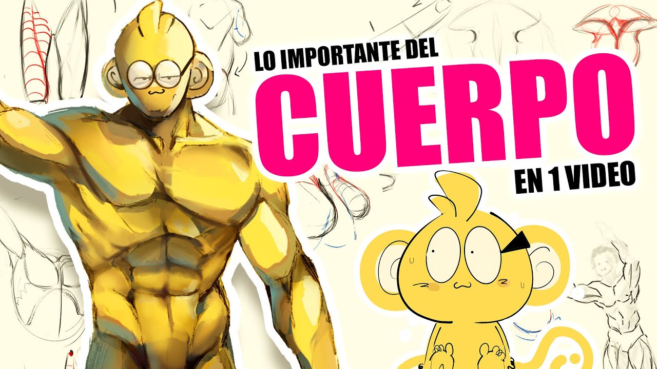 C&oacute;mo Mejorar anatom&iacute;a B&aacute;sica - Gu&iacute;a para Artistas