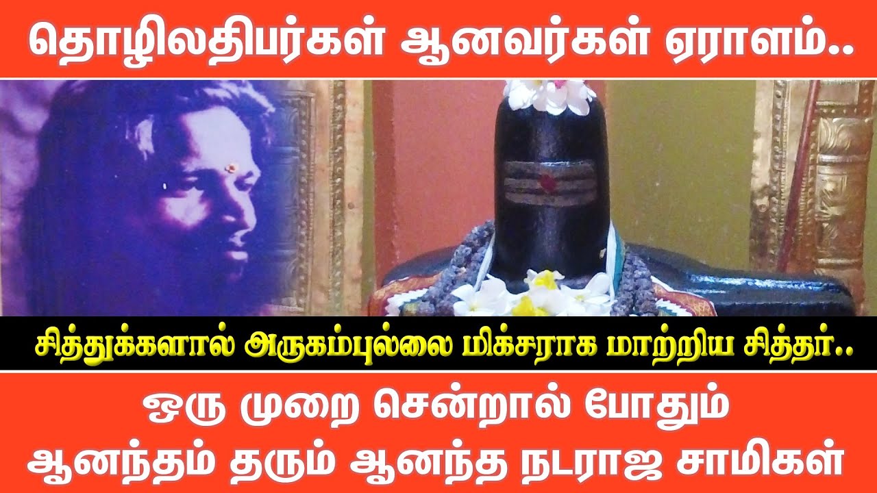 தொழிலதிபர்கள் ஆனவர்கள் ஏராளம்.. | Pranavam TV