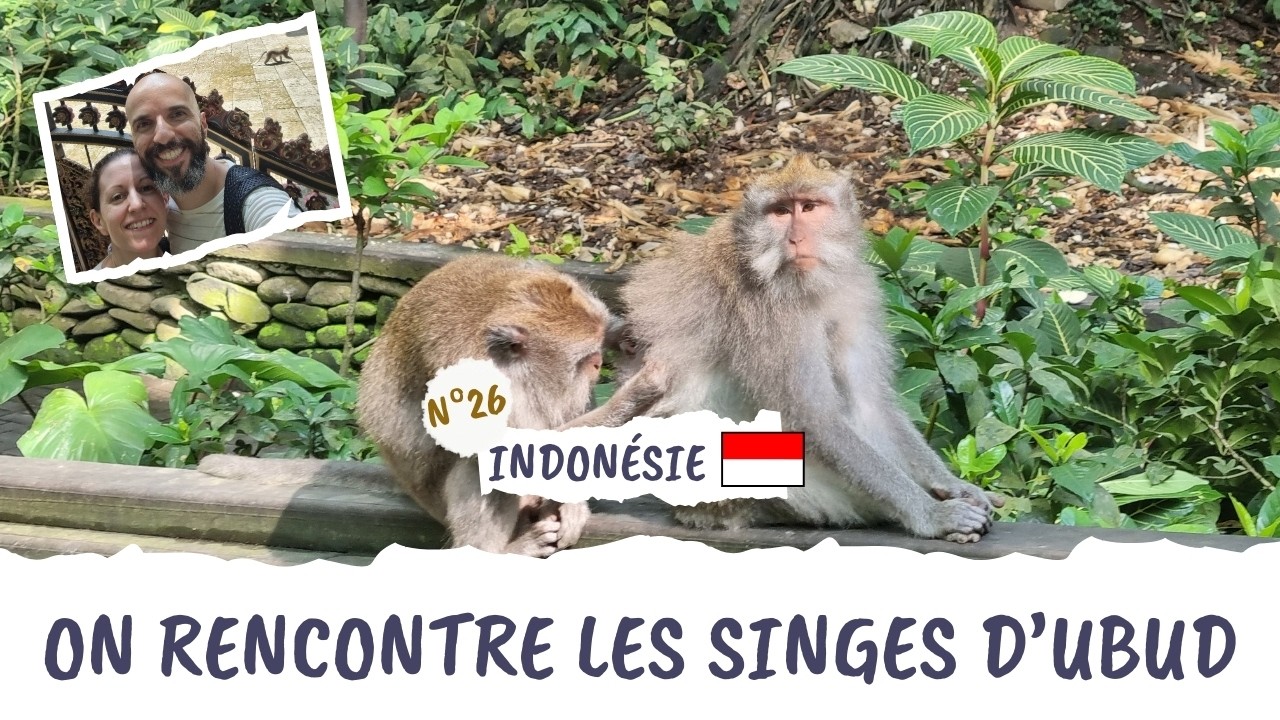 Monkey Forest d’Ubud 🐒 | Immersion au cœur de la jungle balinaise | Vlog à Bali