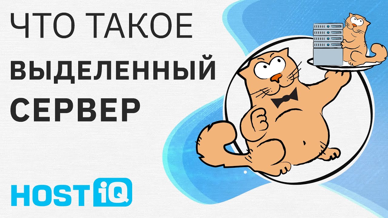 Что такое выделенный сервер (Dedicated Server)