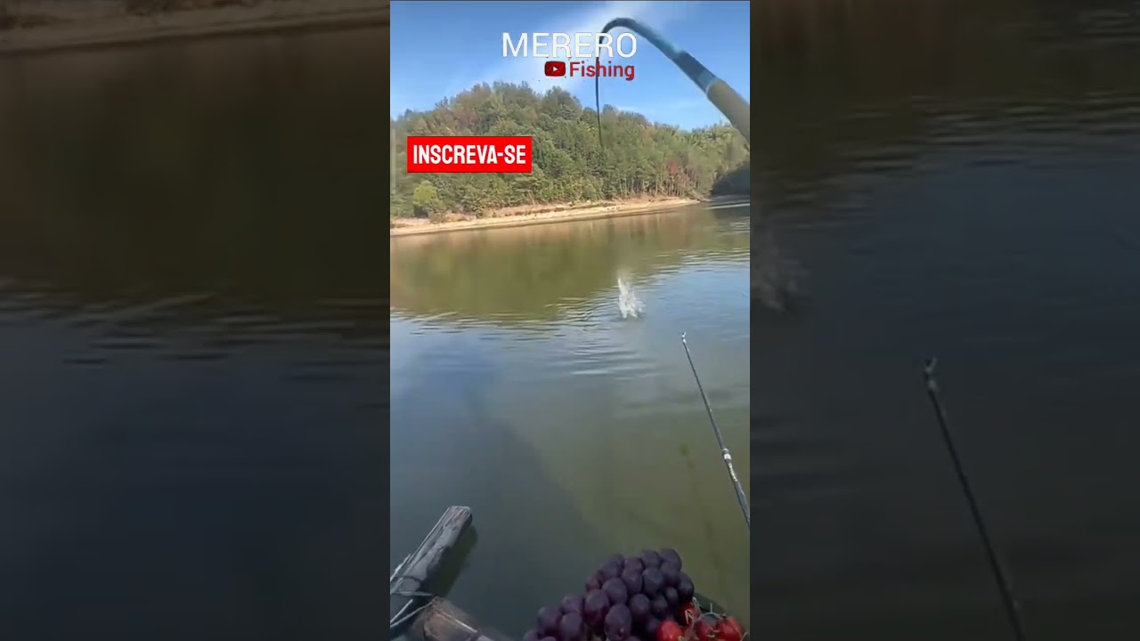 Sensacional essa ISCA. 😱😱🎣🎣 #mererofishing #fishing #amazing