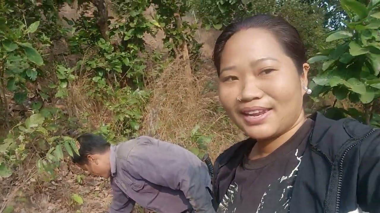 Hello namaskar hamro chai daura katna suru vyo hai