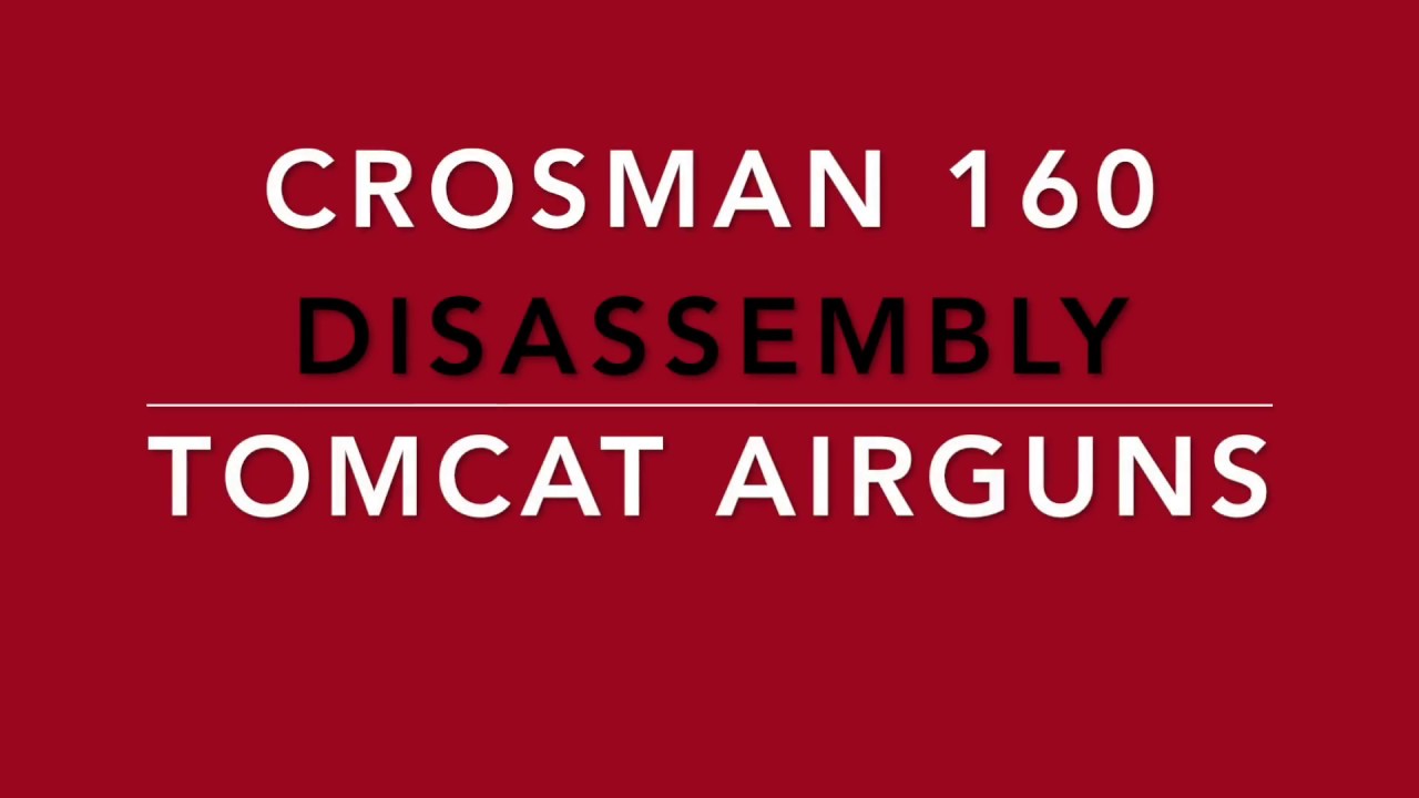 Crosman 160 disassembly