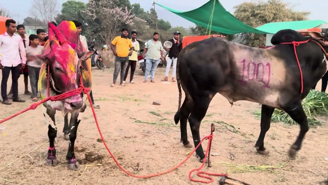 Finally मथुर भुंगा एकत्र 